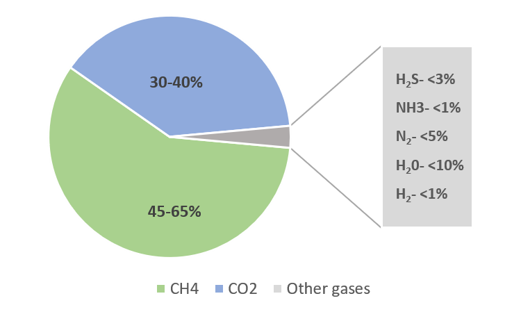 Biogas composition