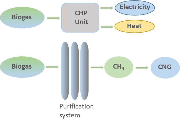 Feedstock valorisation in anaerobic digestion