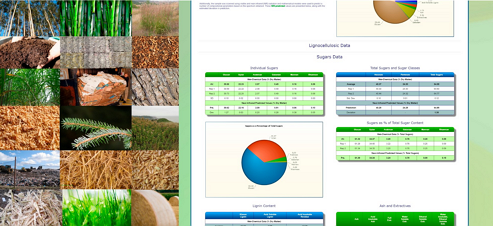 analysis of pretreated biomass