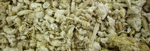 lignocellulosic biomass