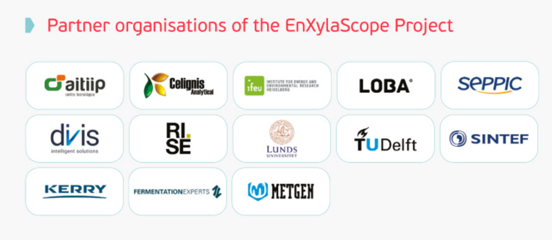 Enxylascope partners