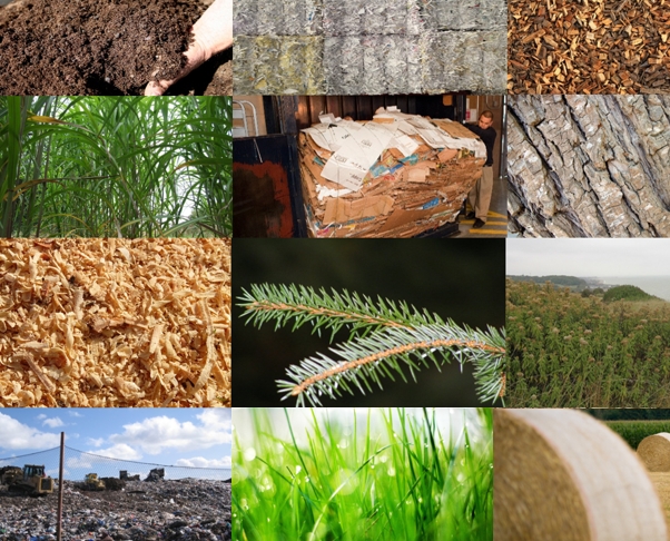 biomass feedstocks